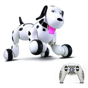 Rainbow Toys Smart Dog Remote Control